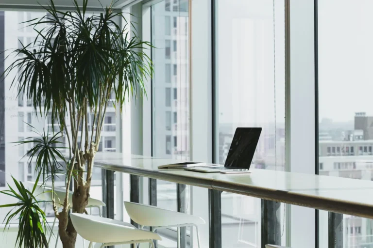 Laptop on a desk beside large windows and indoor plants
